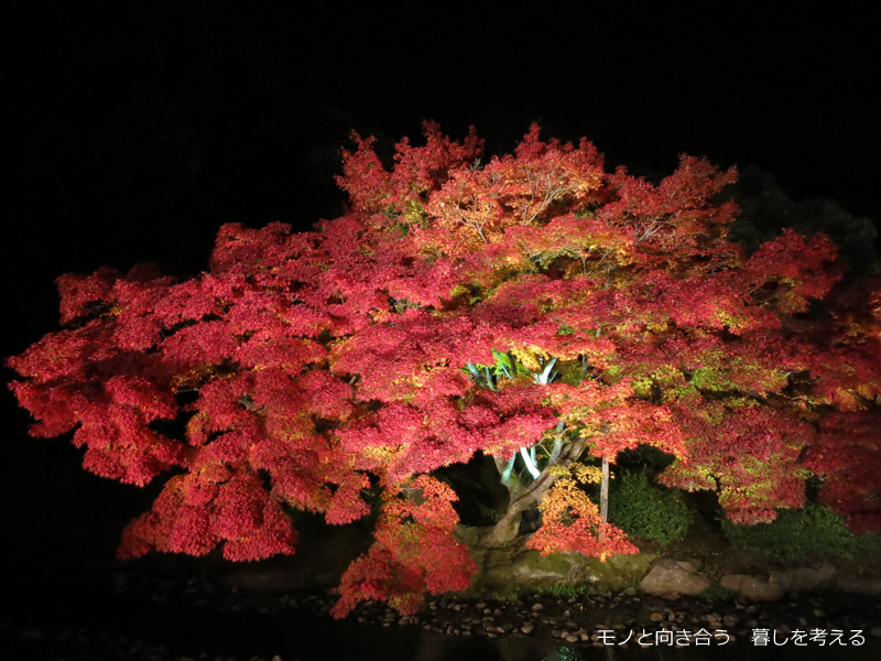 "栗林公園、紅葉のライトアップ2014年